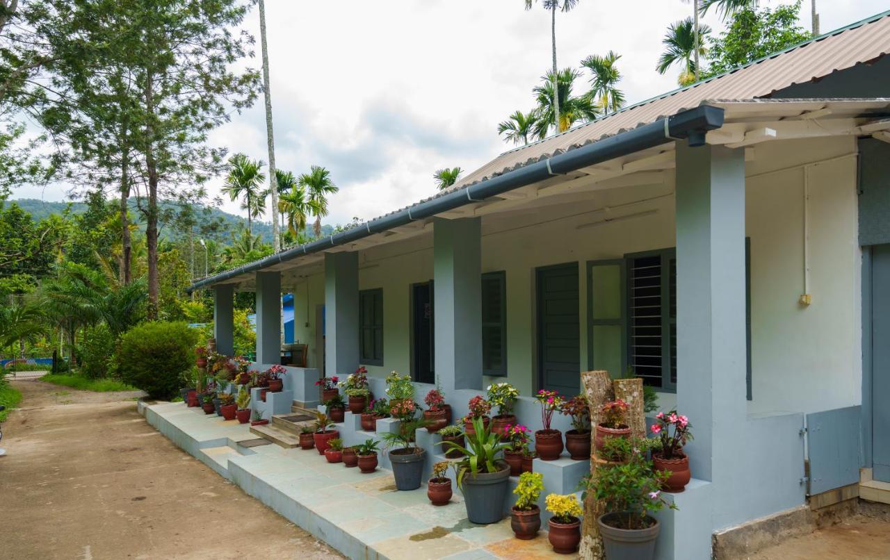 Mystic Trees, Kumily Apartment Thekkady Exterior foto